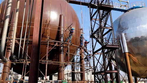 工廠化水產養殖奏響新春致富序曲——電蚊拍產業的啟示