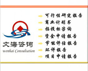 皮革項(xiàng)目商業(yè)計(jì)劃書(shū)編制服務(wù) 價(jià)格、規(guī)格與專業(yè)咨詢