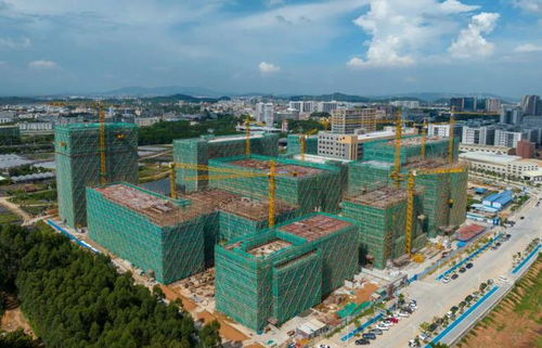 百千萬 新氣象③ 大洲社區 產業發展為先 品質環境為要