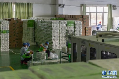 紙 短情長 解碼現代林產業綠色發展的 云景實踐