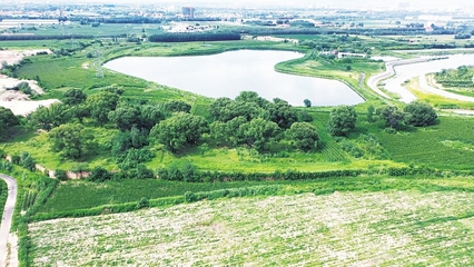 治理提標(biāo)提質(zhì) 筑牢全方位高質(zhì)量發(fā)展生態(tài)屏障